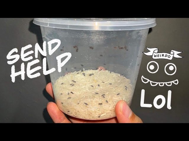 I think there’s Something SERIOUSLY WRONG with me ~ Send help 🤣