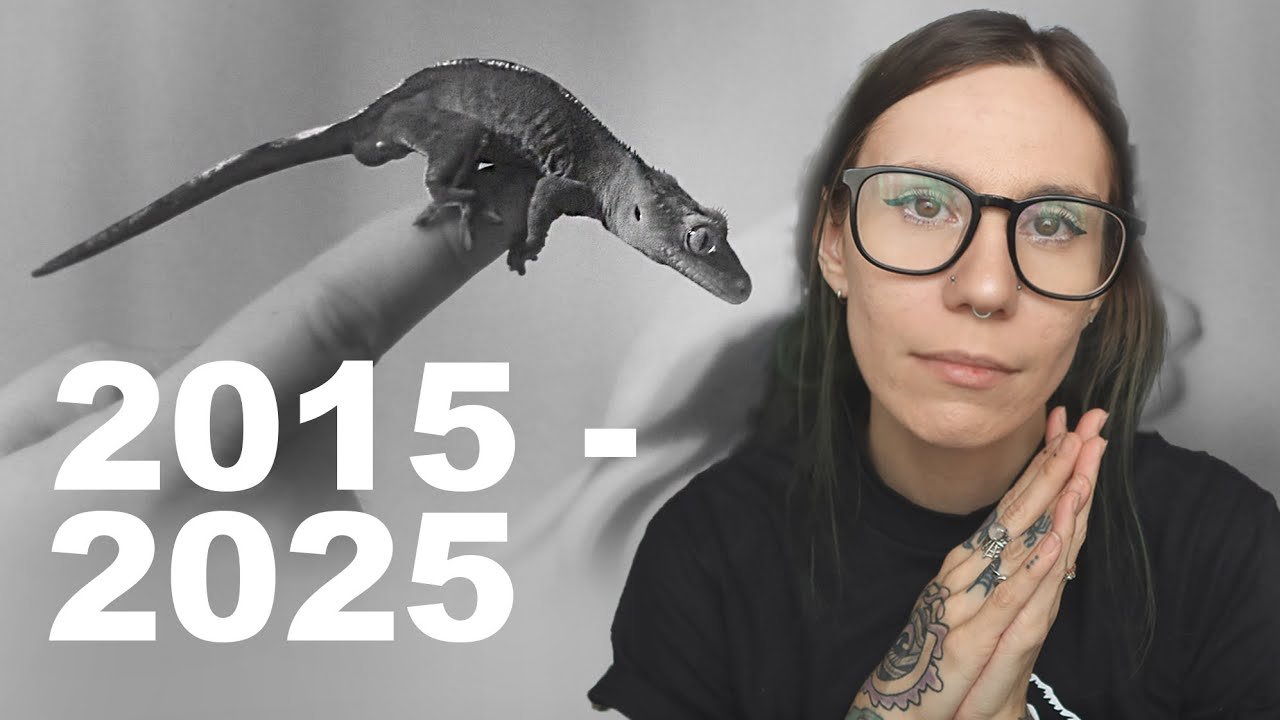 My First Pet Reptile Ever Has Died.. + How I immediately ended up with 2 new crested geckos