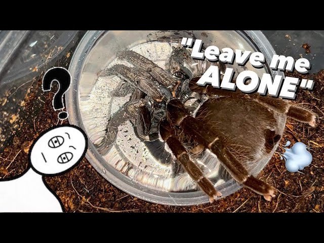 The BEST INVESTMENT ever !!!