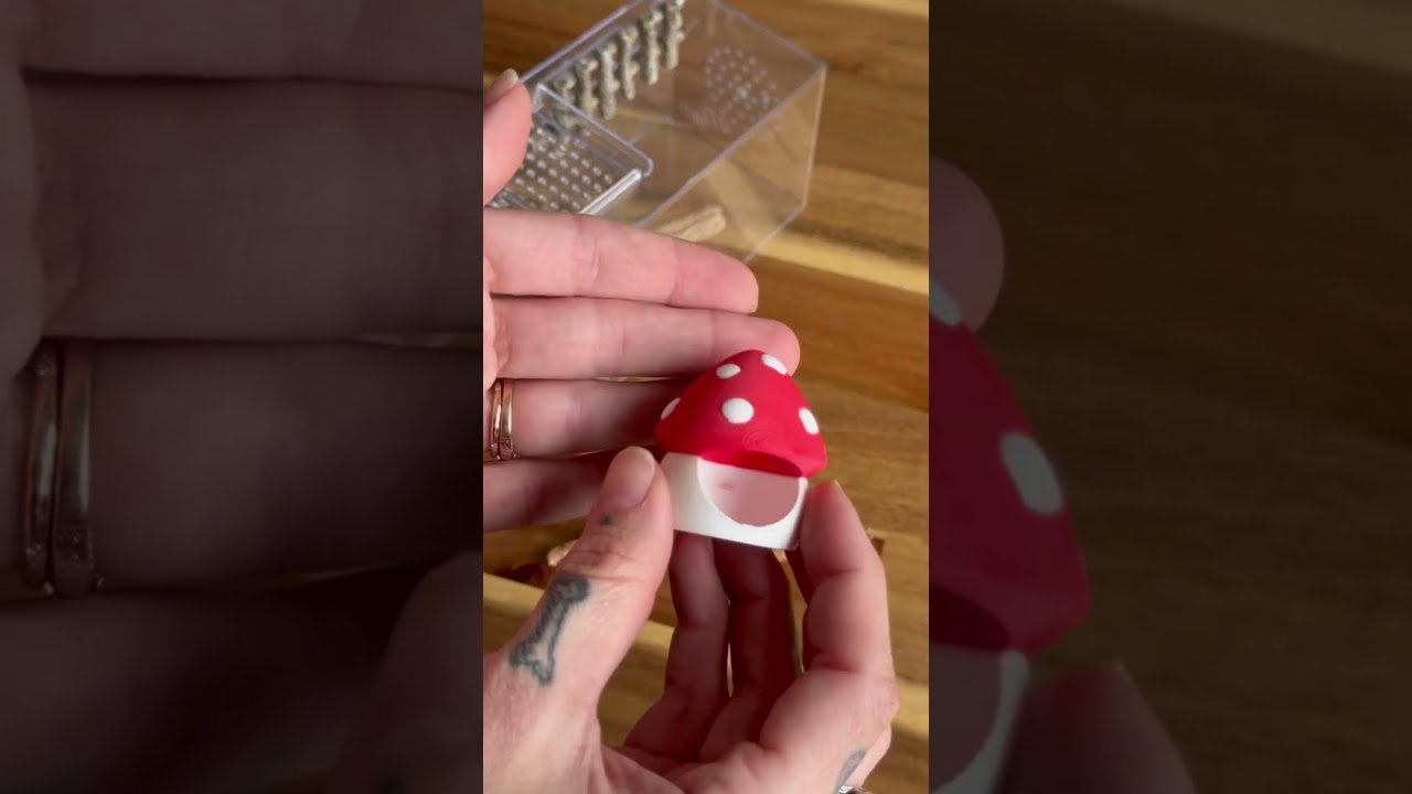 Can Zoo Med’s Jumping Spider Enclosure Work??