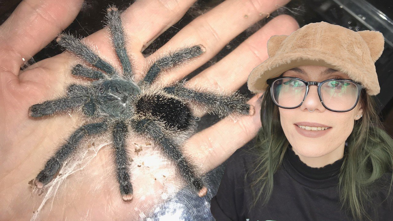 Are you keeping your Pinktoe WRONG or just DIFFERENT? Where "Care Guides" FAIL