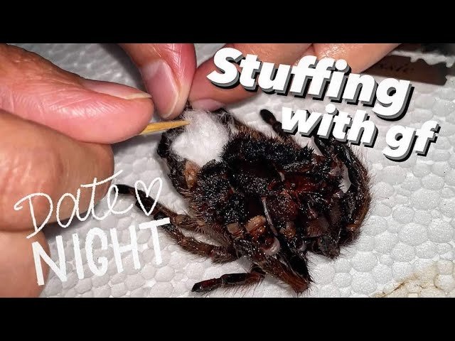 is STUFFING a D3AD tarantula NOT the PERFECT COUPLE DATE activity?!!