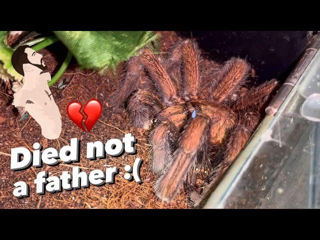 ZERO D3ATHS after this Indonesia Trip! ~ It’s a MIRACLE ?!!!