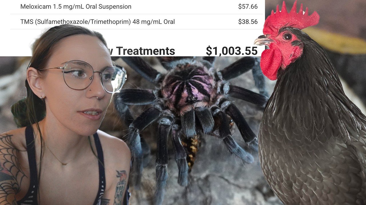 $1,000 Emergency Vet Trip - am i insane??