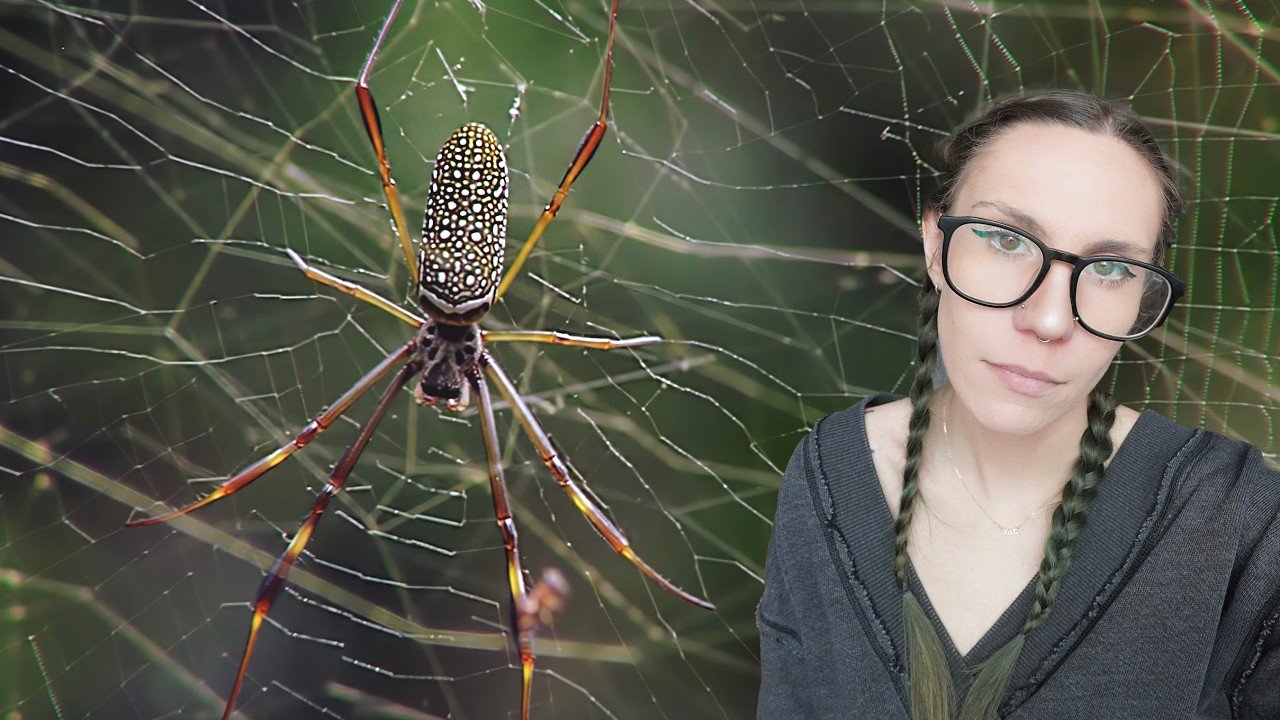 PLEASE STOP Keeping THESE Spiders!