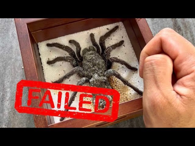 ULTIMATE FAIL on so many levels !!!